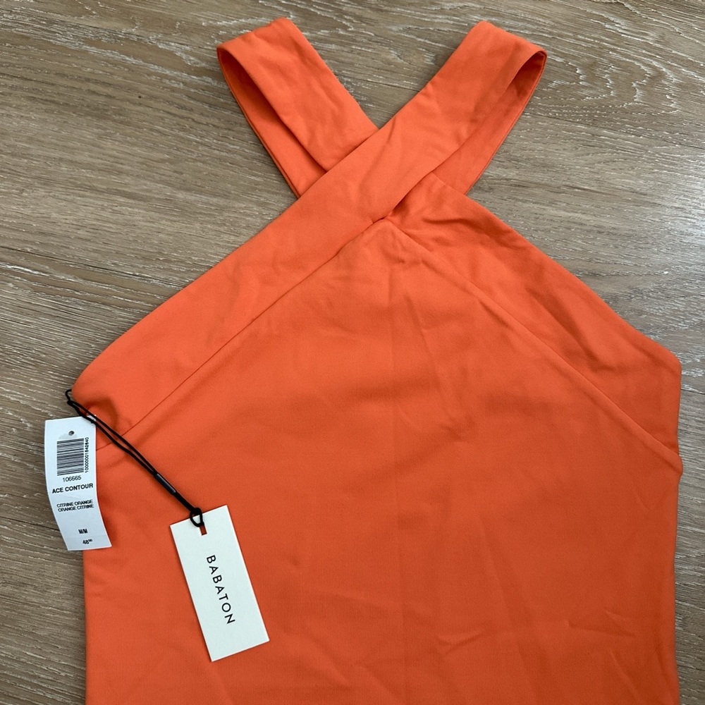 Babaton Aritzia Contour Bodysuit